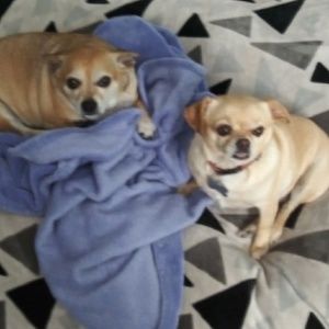 Meet your Posher, Lynette